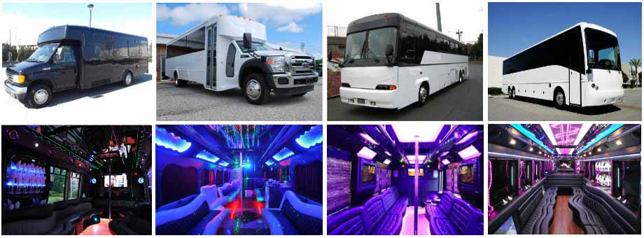Wedding Transportation Party Buses Jacksonville